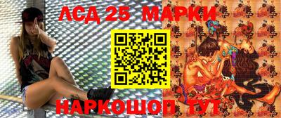 спиды Краснодар
