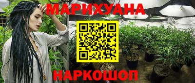 крисы Краснокаменск