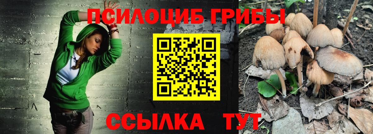 Псилоцибиновые грибы ЛСД Арсеньев